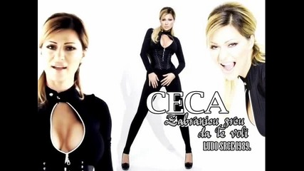 Ceca - Zabranicu srcu da te voli