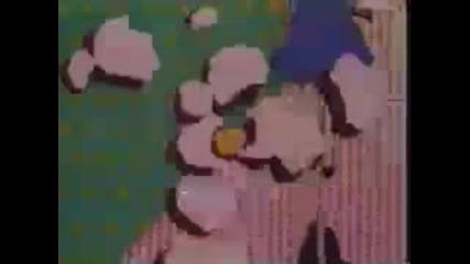 Sailor moon