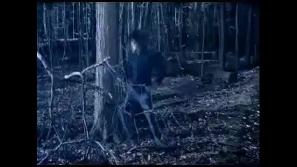 Waking The Demon