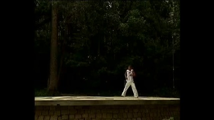 Freestyle Capoeira