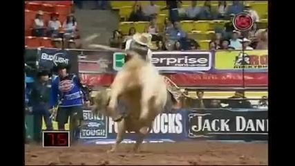 Chihuahua Round 2 J.w. Hart Vs Born To Boogie 