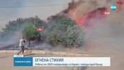Над хиляда огнеборци се борят с горски пожари в Измир, полетите в района са спрени