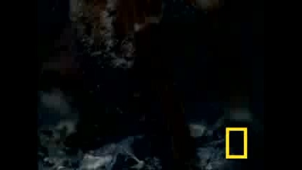 National Geographic: Тарантулата