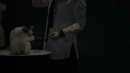 Dezert - 「変態」【official Music Video】
