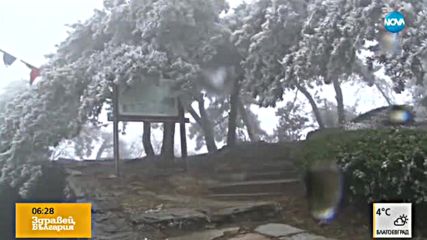 КРАСОТАТА НА ЗИМАТА: Рязък спад на температурите формира ледена гора