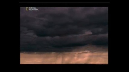 Naked Science - Human extinction 4
