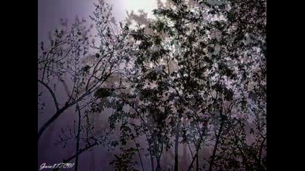 Lluvia De Primavera