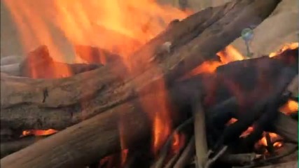 Омарски мозък-man vs wild
