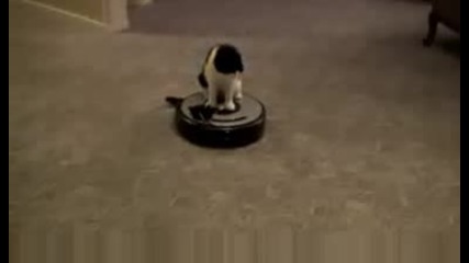 коте кара romba