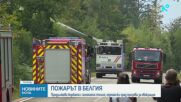 Дъжд и висока влажност ограничиха големия пожар, бушуващ в резерват в Белгия