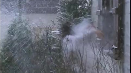 aii vijj tova .dd (4)