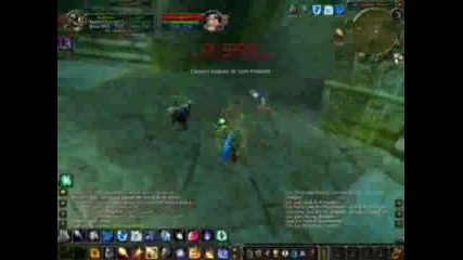 World Of Warcraft - The Phoenix Pvp 
