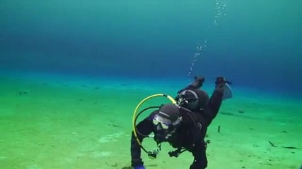 Възхитителни подводни поляни - разходка 