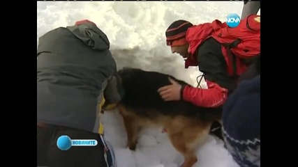 Отбелязаха Деня на планинския спасител на Витоша