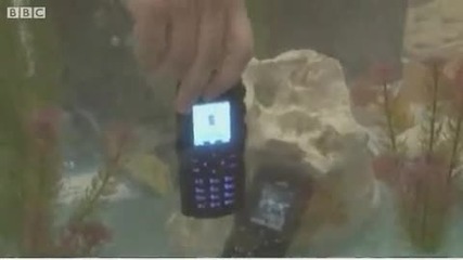 Bbc Репортер чупи най - здравия телефон на света !! 