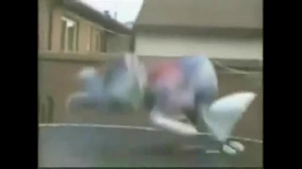Ultimate Idiots 
