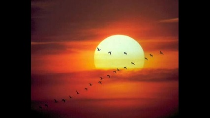 Friday Morning (deep Love) Mixed By B0mb