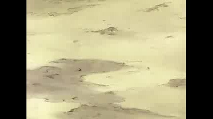Neji Vs Naruto
