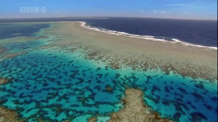 Красотата на Океаните H D