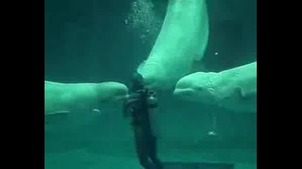 Без Думи Оставаш