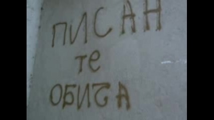 Смешни Снимки