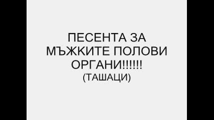 Песента За Сички Мъже!!!!!!! 