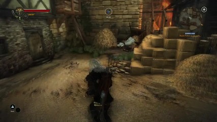 Assassin's Creed Easter Egg - The Witcher 2 Assassins of Kings