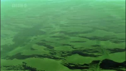 Красотата на океана