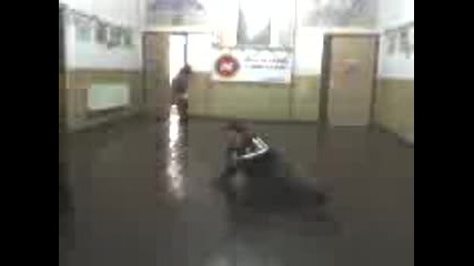 Ники и Вики