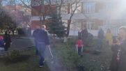 Дадоха нов живот на коледните дръвчета в Бургас