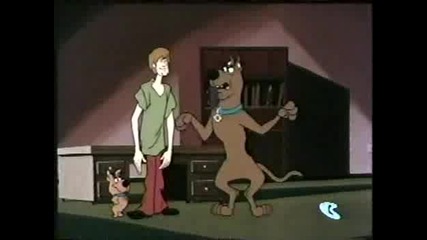 Scooby And Scrappy Doo - Canine To Five