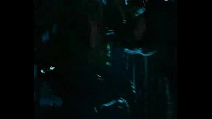Alien vs Predator 2 pic and video