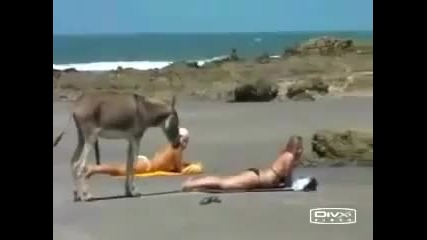 От коя да започна.. Не се притесняват..