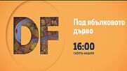 Романтични късни следобеди с филмите по DIEMA FAMILY