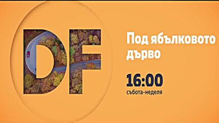 Романтични късни следобеди с филмите по DIEMA FAMILY