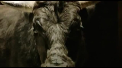 Галена 2012 - Спри ме [ Official Video ]