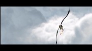Песен на Александър Рибак към филма "Как да си дресираш дракон 2"
