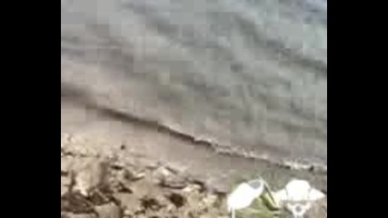 Не Влизайте Във Водата По Този Начин