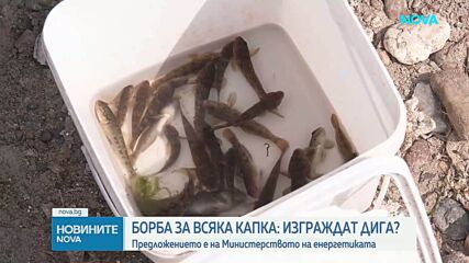 Енергийният министър обяви планове за дига в Дунав при АЕЦ „Козлодуй”