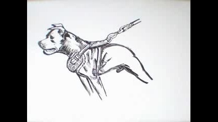 Art American Pit Bull Terrier