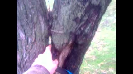 Agicin Sonu Fena Ey 2014 Hd