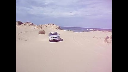Suzuki on the beach Dune