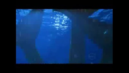 H2o Just Add Water - Season 2