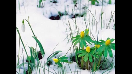 Честита Баба Марта Скъпи Мои Приятели 