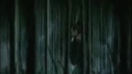 Disturbed - indestructible