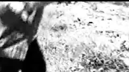 Common Dead - Chronic Solitude