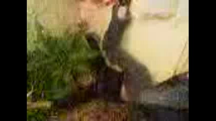 Pianicaaaaaaaaaaaaaa