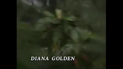 Pobre Nina Rica - Entrada 2