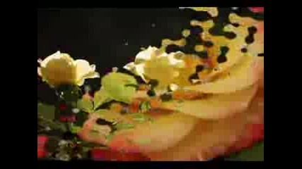 Nana Mouskouri - The Rose