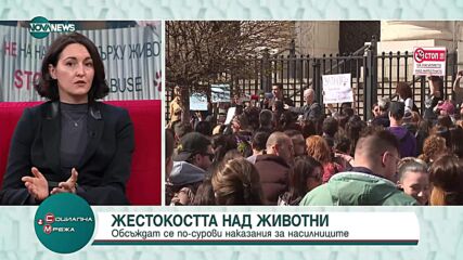 След жестокостта над животни: Обсъждат се по-сурови наказания за насилниците